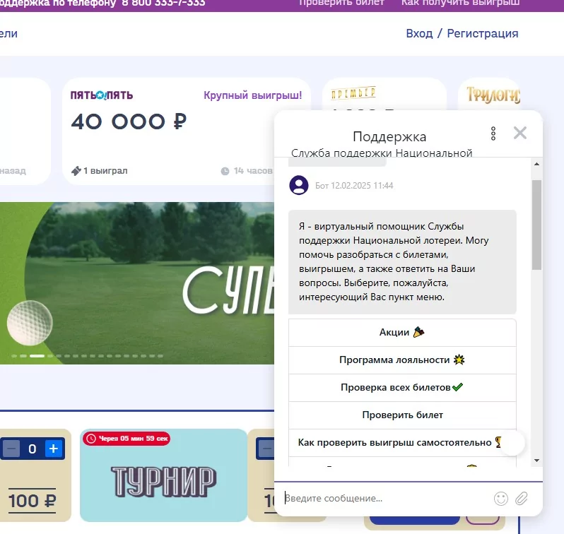 Поддержка клиентов через онлайн-чат